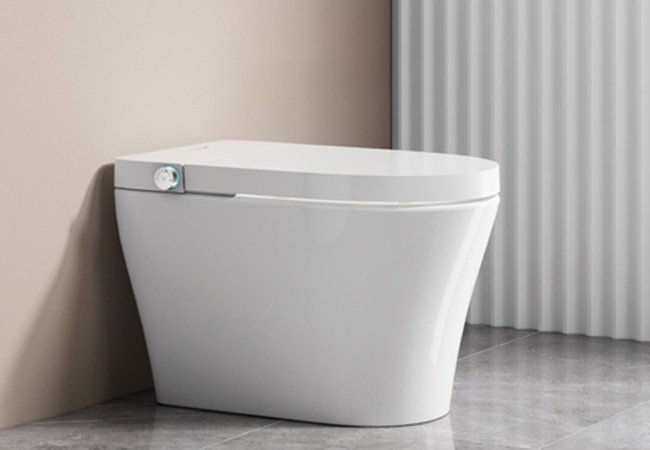 Features of Our Niassa Series Smart Toilet