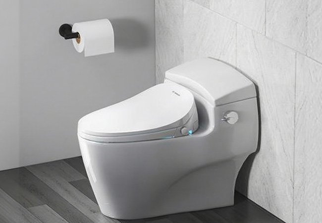 Toilet Seats 1807 (7)