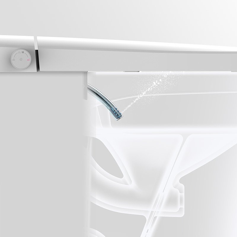 Anal and Private Parts Cleaning