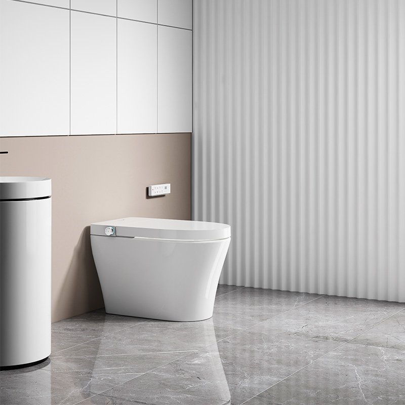 Smart Toilet-N80